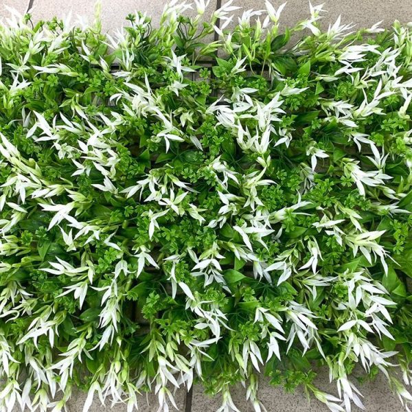 Grass Wall White MOQ 100 pcs. FOB 🇨🇳 $3.95