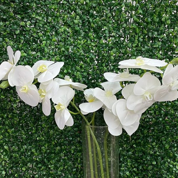 Green Flower Wall MOQ 120 pcs. FOB 🇨🇳 $1.55