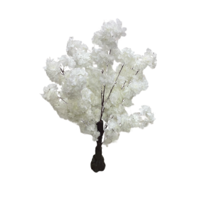 Blossom Plant White