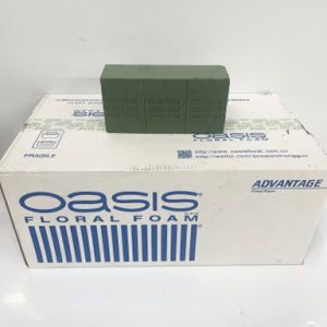 Oasis Box 20pc