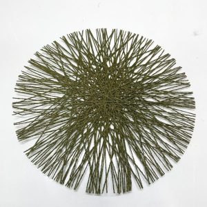 u24